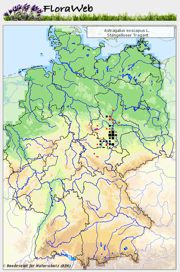 Verbreitungskarte Astragalus excapus, Quelle: www.floraweb.de