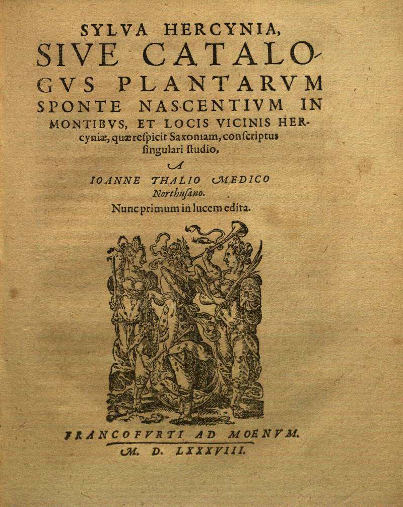 Thal 1588 Sylva Hercynia, Titelbild