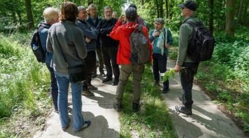 Durch den Hartholzauenwald 23.5.2025, Foto:  Uta Koschmieder