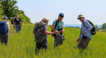 Exkursion auf dem Acker 14.6.2025, Foto: Fabian Brei
