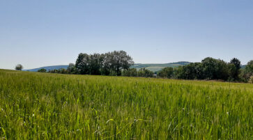 Konvent Acker 14.6.2025, Foto: Tim Behrens