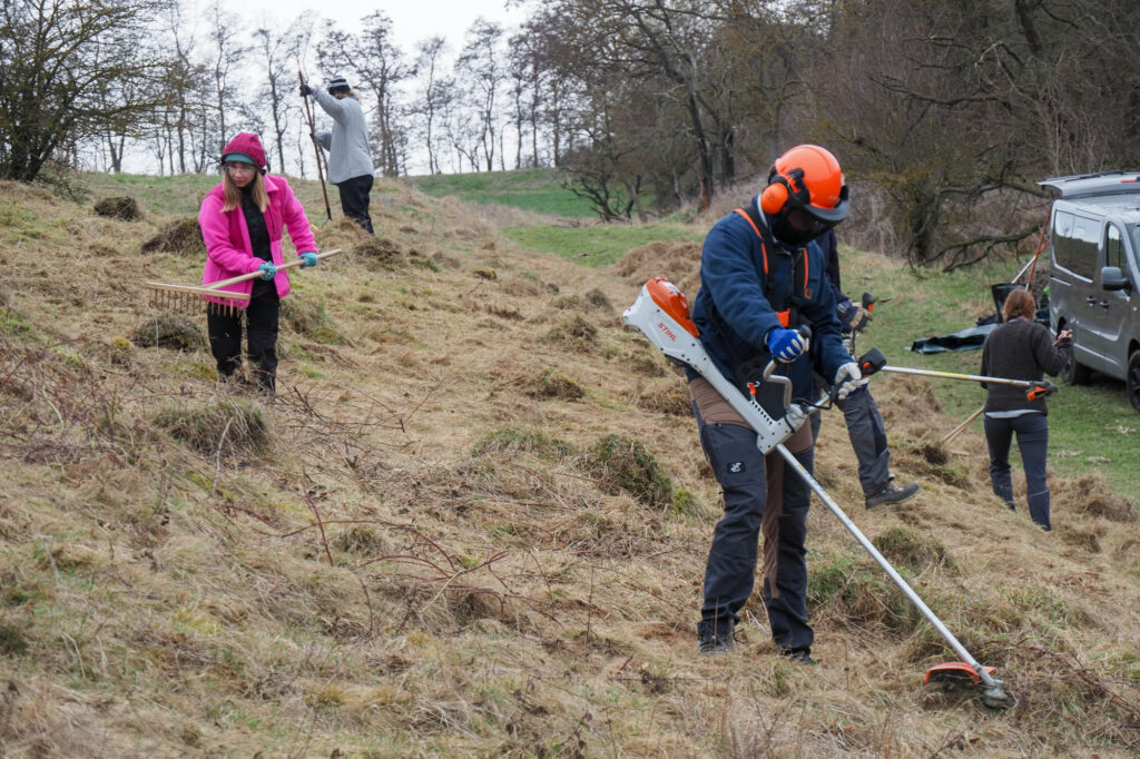 Arbeitseinsatz am 14.3.2026, Foto: Erik Welk